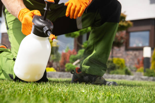 Best Ant Control Services  in Alpine, TX